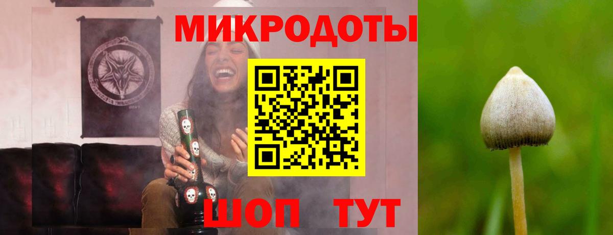 Галлюциногенные грибы MAGIC MUSHROOMS  Псилоцибиновые грибы GOLDEN TEACHER  Белорецк  Вход с VPN 